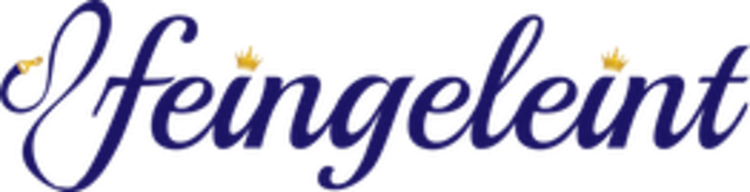 Logo feingeleint