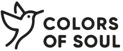 Logo Colors of Soul
