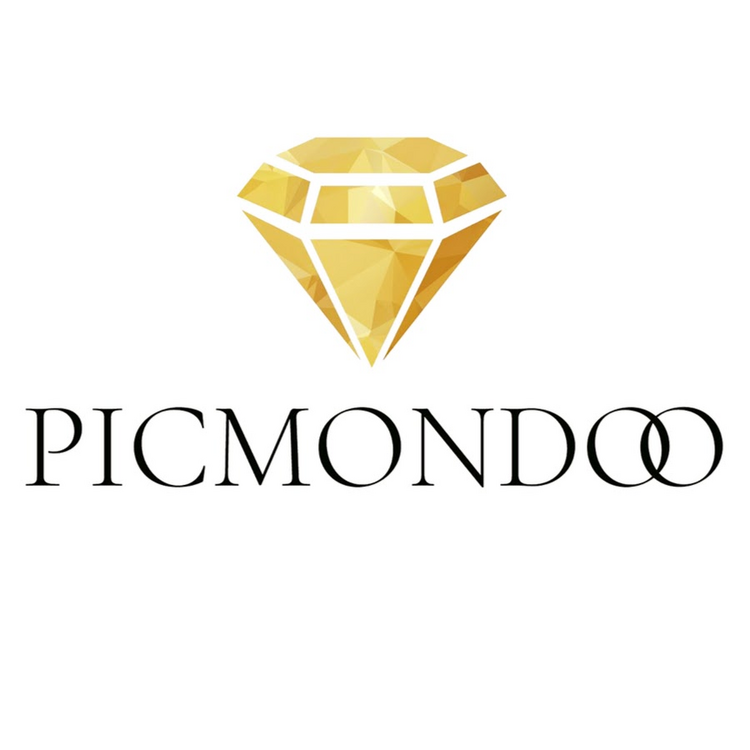 Logo Picmondoo