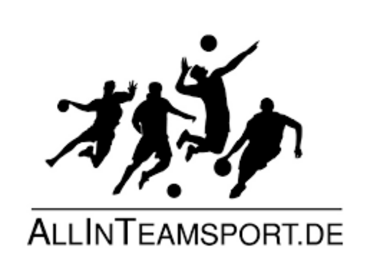 Logo AllInTeamsport