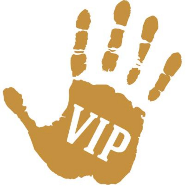 vip-pictures.com Logo VIP Pictures