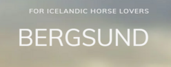 Logo Bergsund