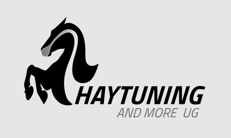 Logo Haytuning and More