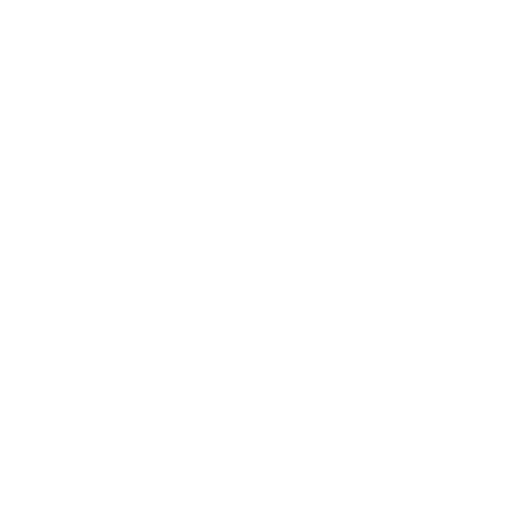 Logo VANWAVE