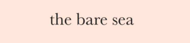 thebaresea Logo the bare sea
