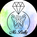 Logo Mr. Bully