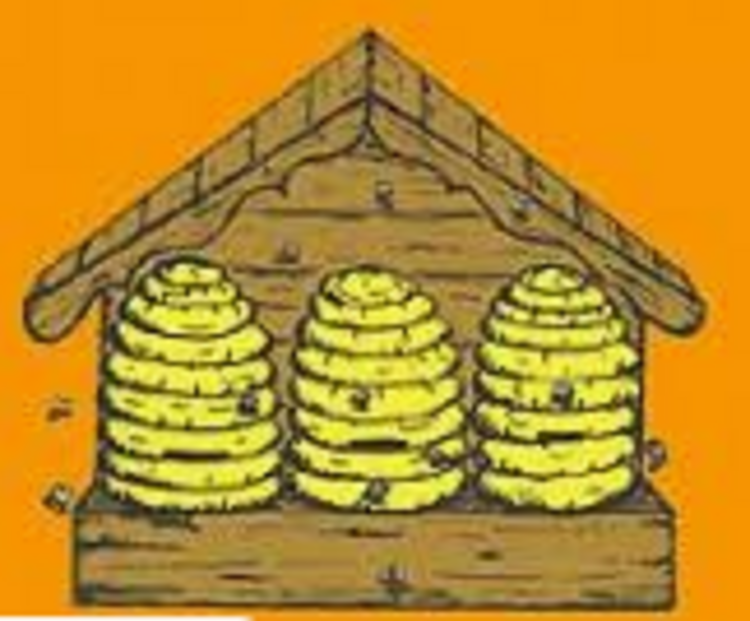 bienes-honighaus.de Logo Bienes Honighaus