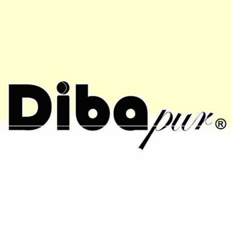 Logo Dibapur