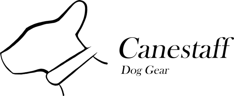 Logo Canestaff