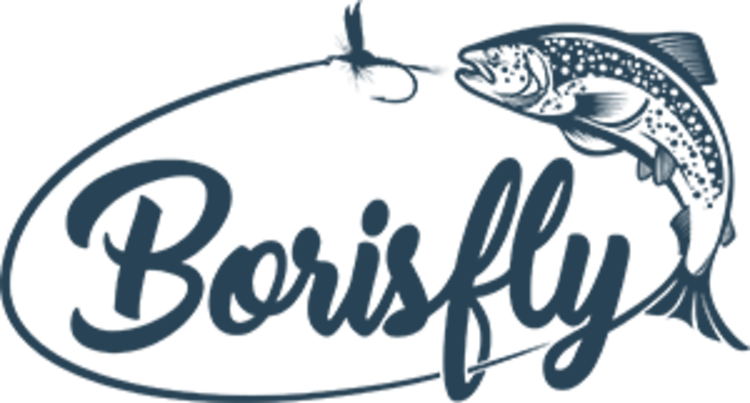 Logo Borisfly