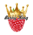 Logo BerryKing