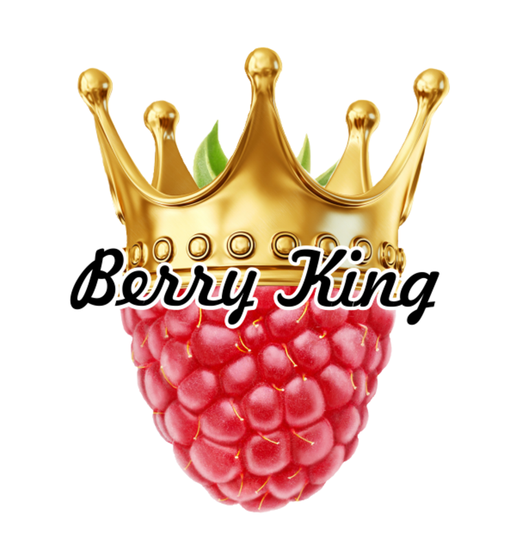 Logo BerryKing