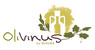 Logo Olivinus