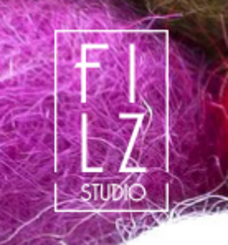 Logo FilzStudio