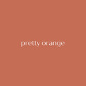 Logo Pretty Orange