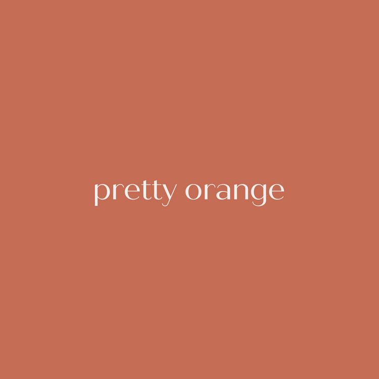 Logo Pretty Orange