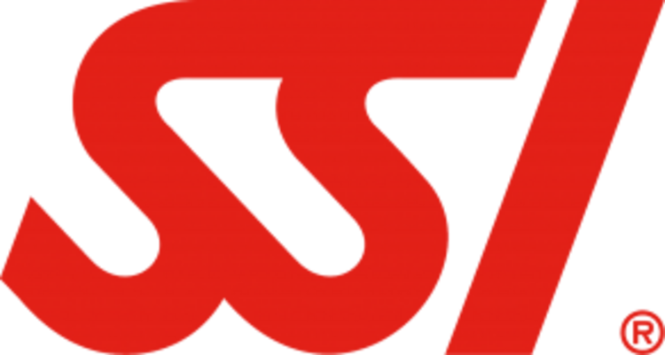 Logo SSI Store