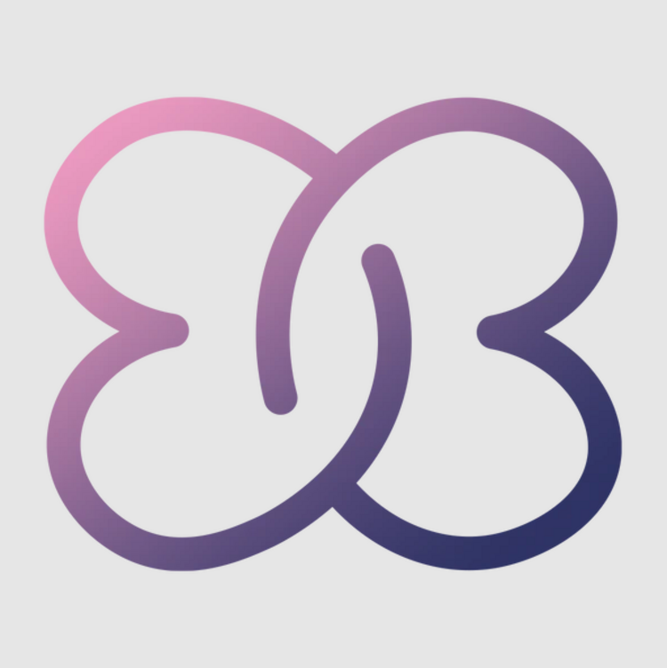 Logo BabyBridge®