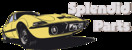 Logo Splendid Parts