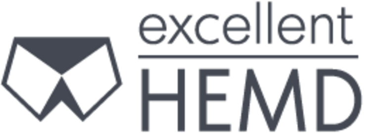 Logo Excellent-Hemd