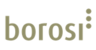 Logo Borosi