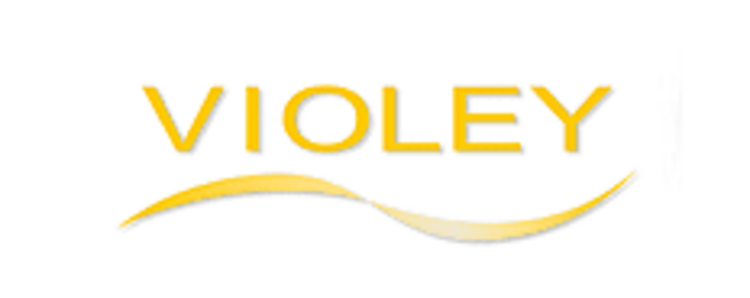 Logo Violey