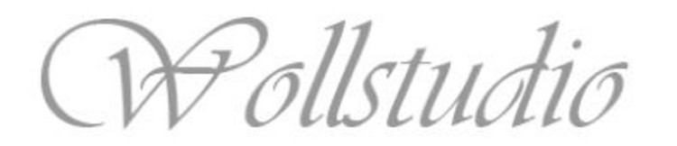 Logo Wollstudio
