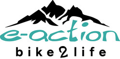 Logo e-action