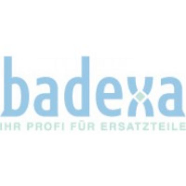 Badexa Logo badexa