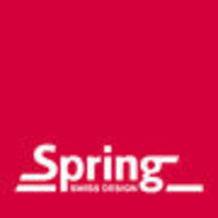 Logo Spring Brandshop
