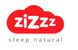 Logo zizzz