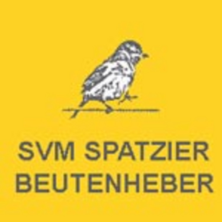 Logo SVM Spatzier