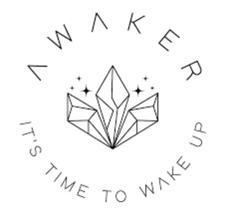 Logo Awaker