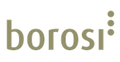 Logo Borosi