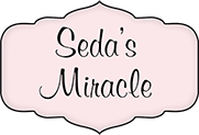 Logo Seda's Miracle